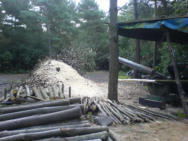 Sourcing Wood for Bridge Outdoor Structure - Forest Woodcraft bespoke Kent Carpentry and Joinery